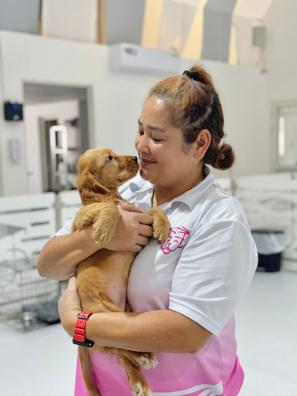 Professional Puppy Bus drivers in Dubai and Abu Dhabi